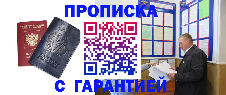 прописка поиск в Курской области